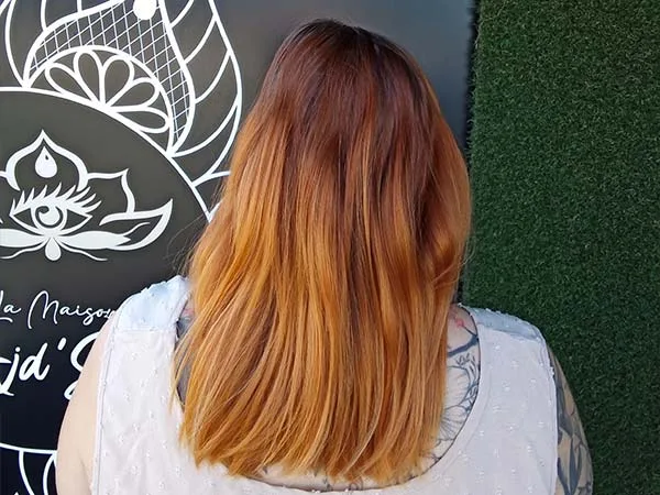 Photo avant une coloration végétale à Vallet